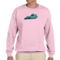 Heavy Blend™ 8 oz., 50/50 Fleece Crew Thumbnail