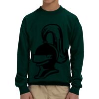 Heavy Blend™ Youth 8 oz., 50/50 Fleece Crew Thumbnail