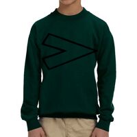 Heavy Blend™ Youth 8 oz., 50/50 Fleece Crew Thumbnail