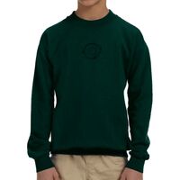 Heavy Blend™ Youth 8 oz., 50/50 Fleece Crew Thumbnail