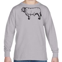 Heavy Cotton™ Youth 5.3 oz. Long-Sleeve T-Shirt Thumbnail